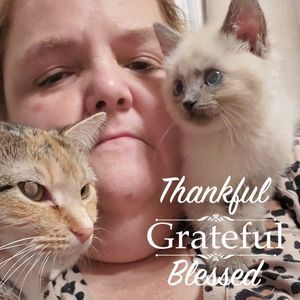 Meet your Posher, Darlene